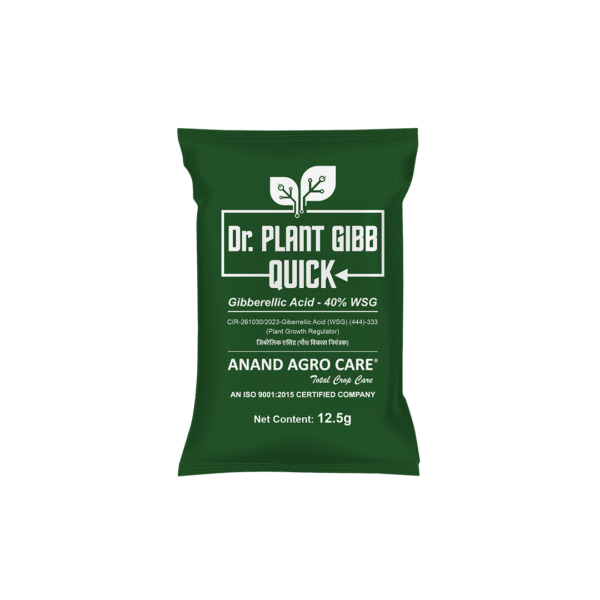 Dr. Plant Gibb