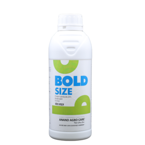 Bold Size