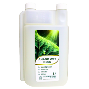 Anand Wet Gold