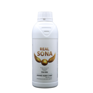 Real sona