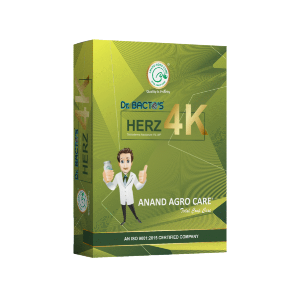 Dr.Bacto’s Herz 4K