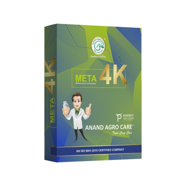 Metarhizium anisopliae used as a natural pesticide for insect pest control