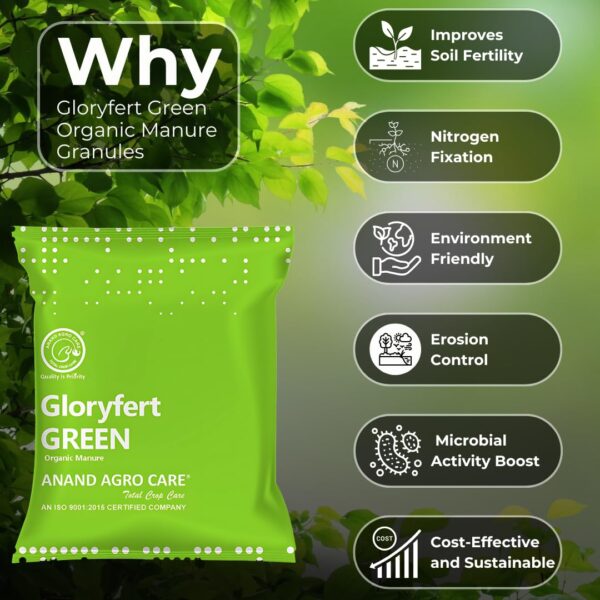 Gloryfert Green