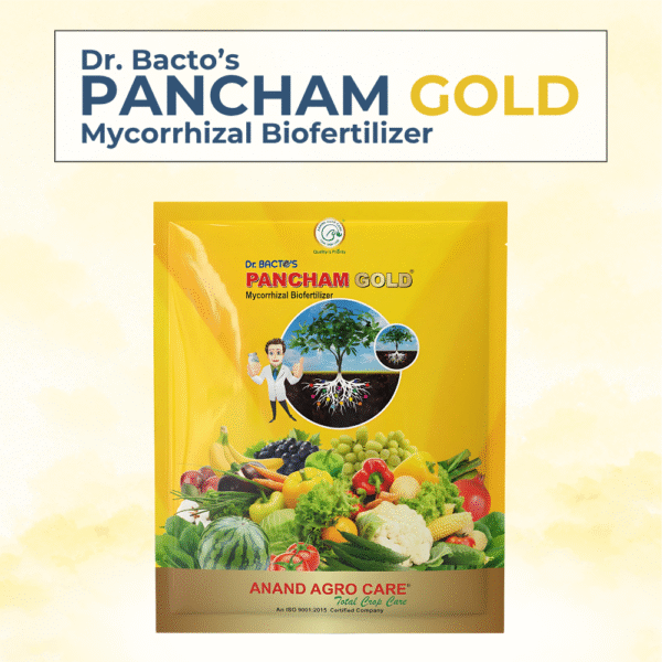 Dr. Bacto's Pancham Gold