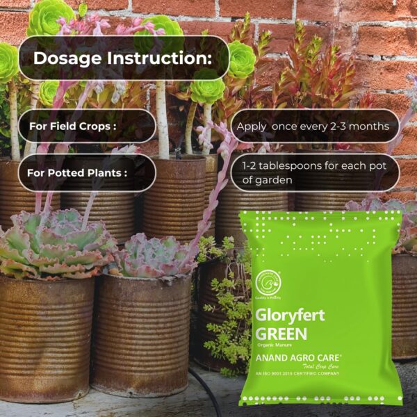 Gloryfert Green