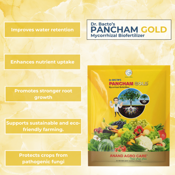 Dr. Bacto's Pancham Gold