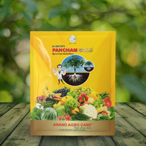 Dr. Bacto's Pancham Gold