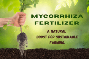 Mycorrhiza Fertilizer