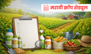 मराठी क्रॉप शेड्यूल (1)