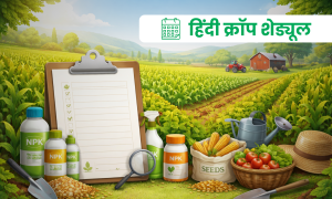 मराठी क्रॉप शेड्यूल (4)
